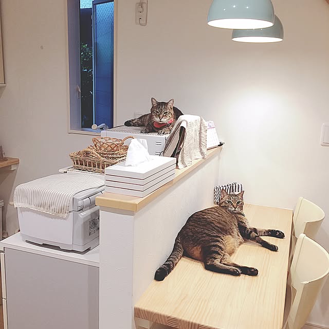 lovecatさんの実例写真