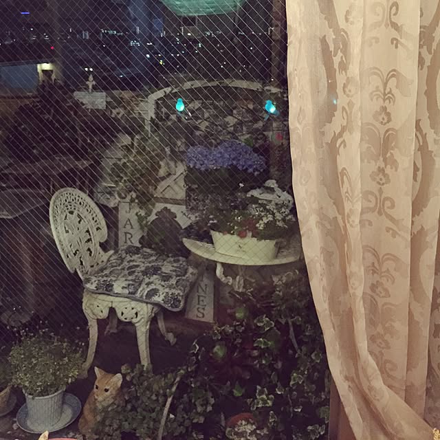 emmyyさんの実例写真