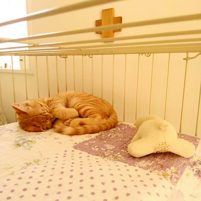 mayutan.さんの実例写真