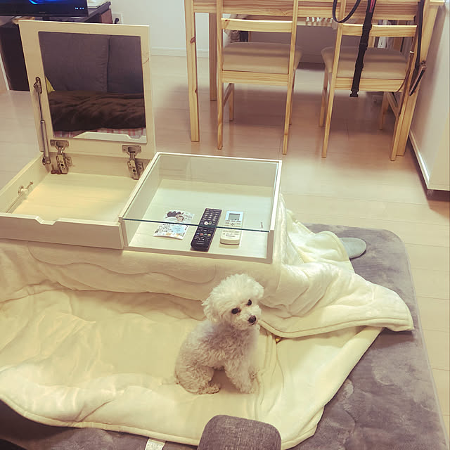 YumiUさんの部屋
