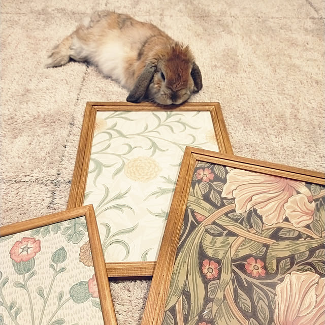 suzuさんの実例写真
