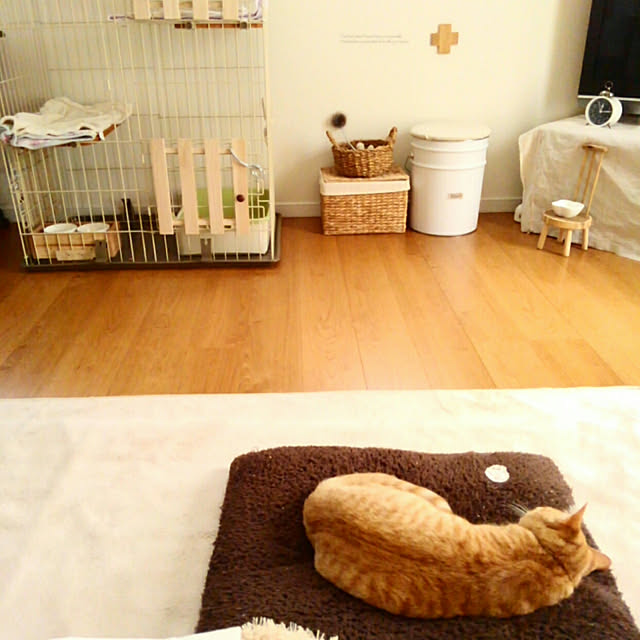 mayutan.さんの実例写真