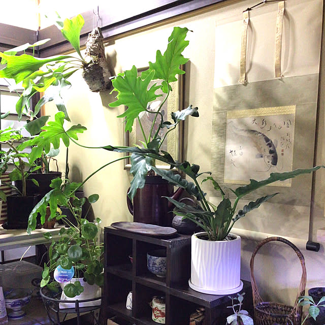 ginjiさんの実例写真