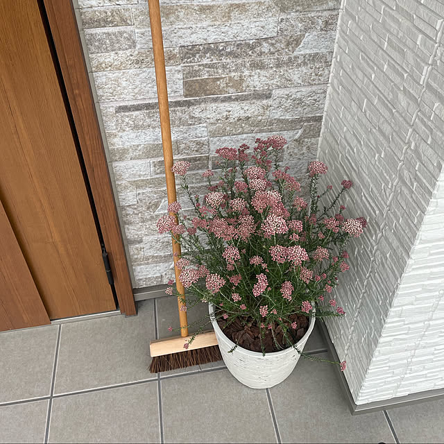 観葉植物/玄関/入り口のインテリア実例 - 2022-04-17 15:38:43