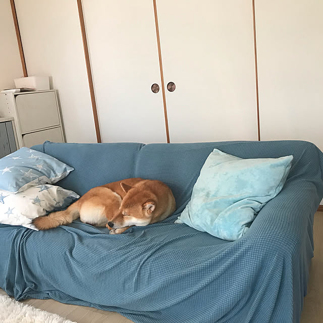 kashu2525krrさんの実例写真