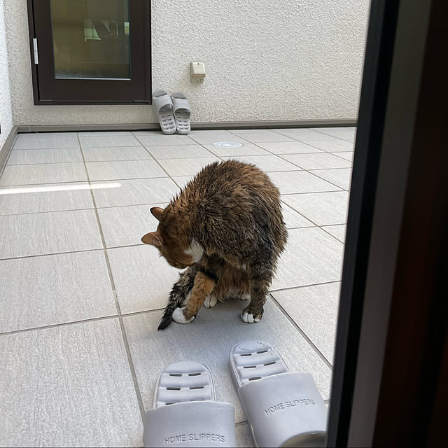 maruさんの実例写真