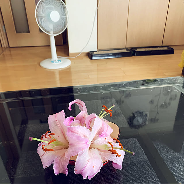 yukarin-gardenさんの実例写真