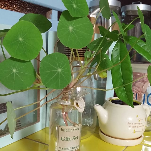 springkeyさんの実例写真