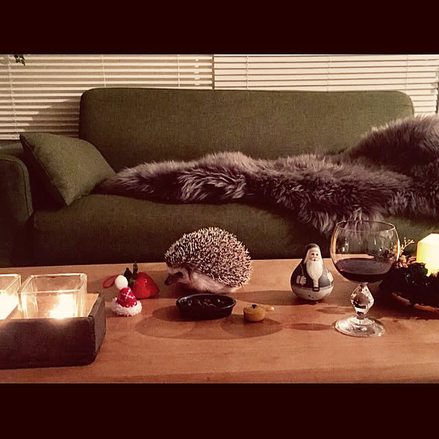 saokoさんの実例写真