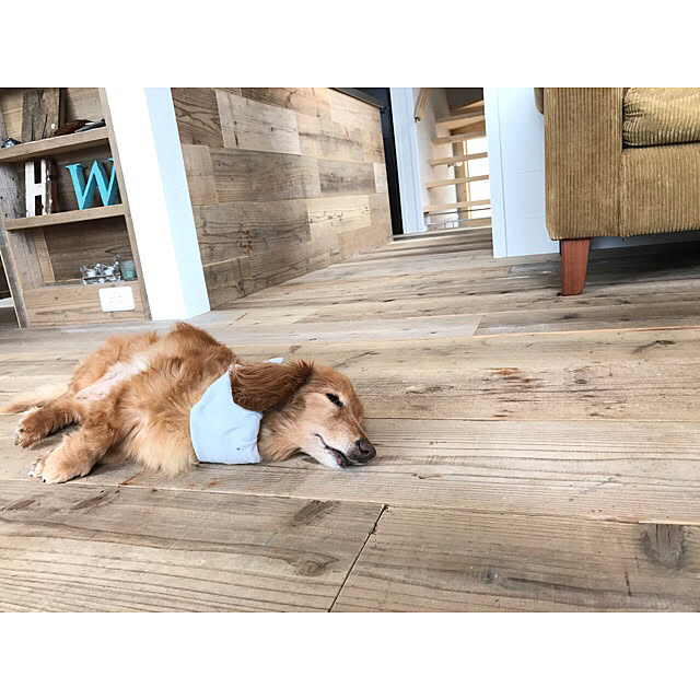 chocoさんの実例写真