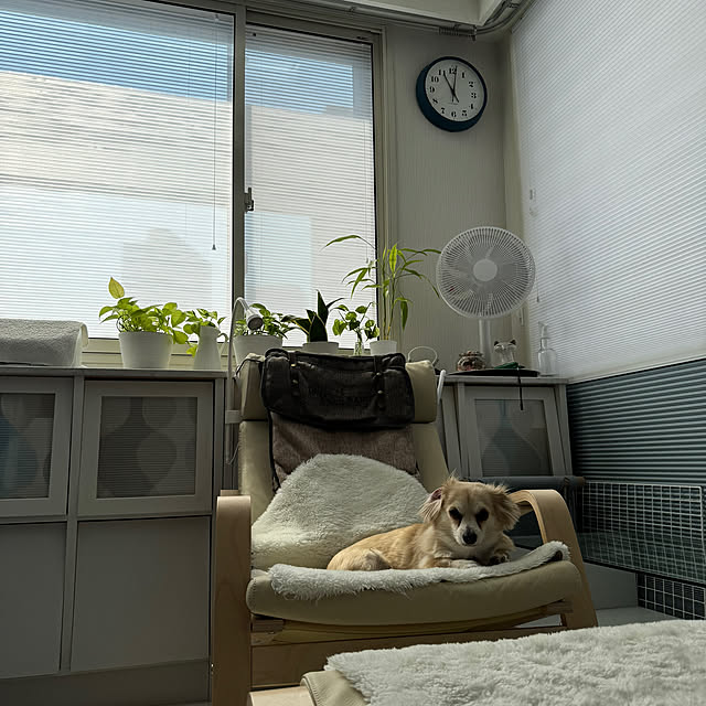 Rainyさんの部屋