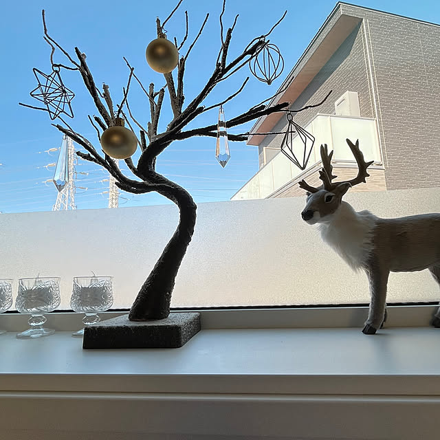 negichanさんの部屋