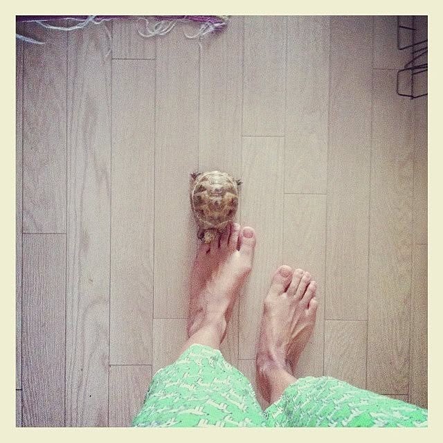 majoさんの実例写真