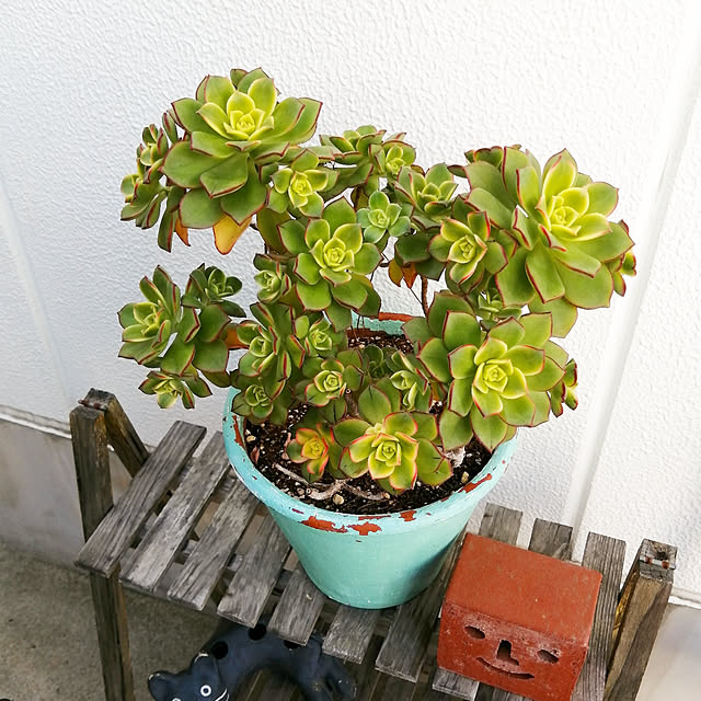 VERANDARJUNさんの実例写真