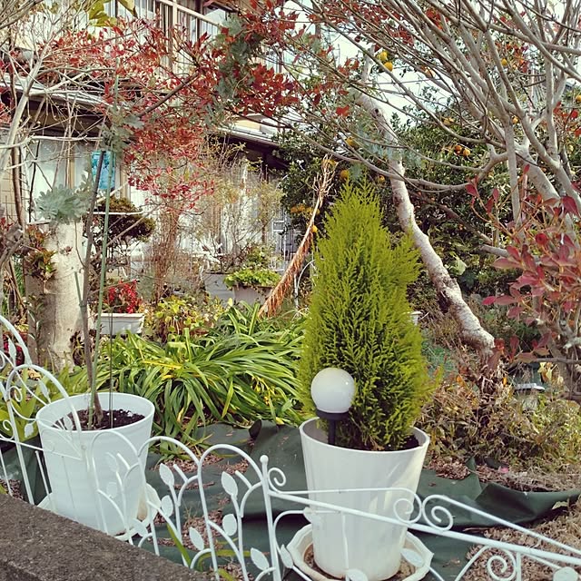 keikoさんの実例写真