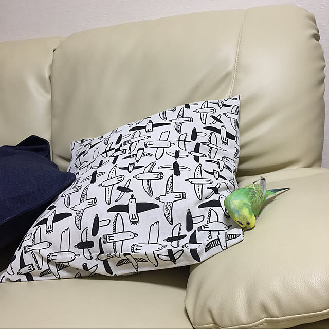 toratanさんの実例写真