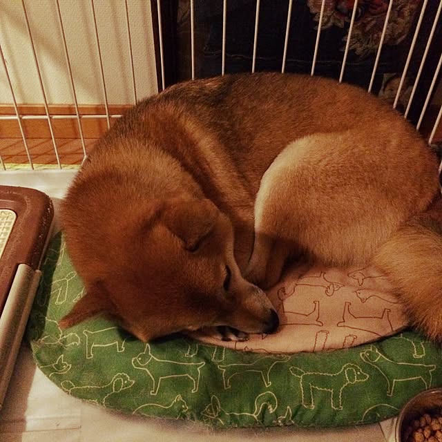 marobokeさんの実例写真