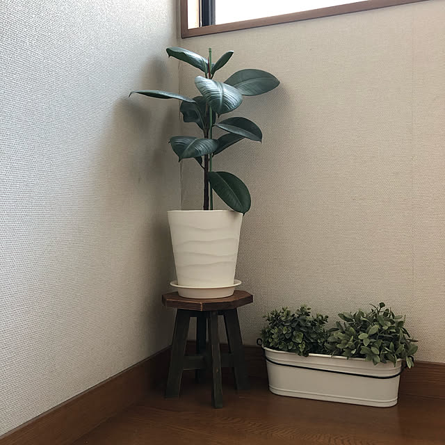 pirokoさんの実例写真