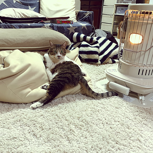 h0a4r1u3chiさんの実例写真