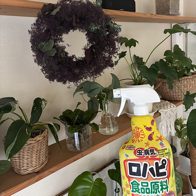 momokasanさんの実例写真