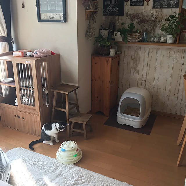 Akiさんの実例写真
