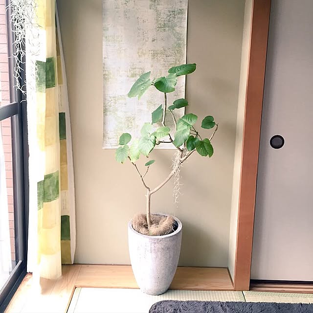 215dayoさんの実例写真