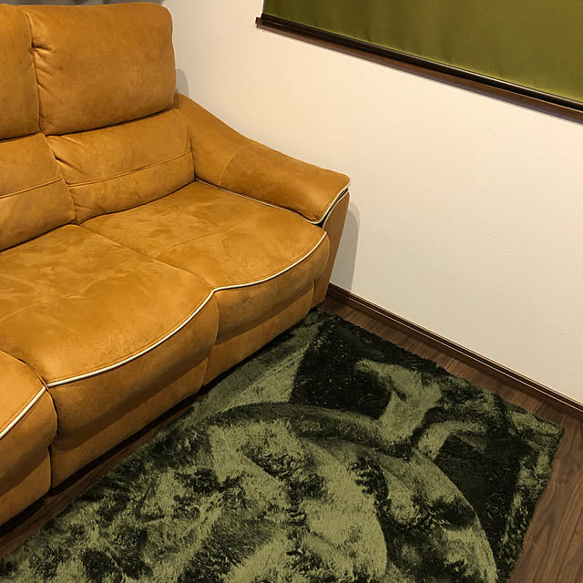 raccoondogさんの実例写真