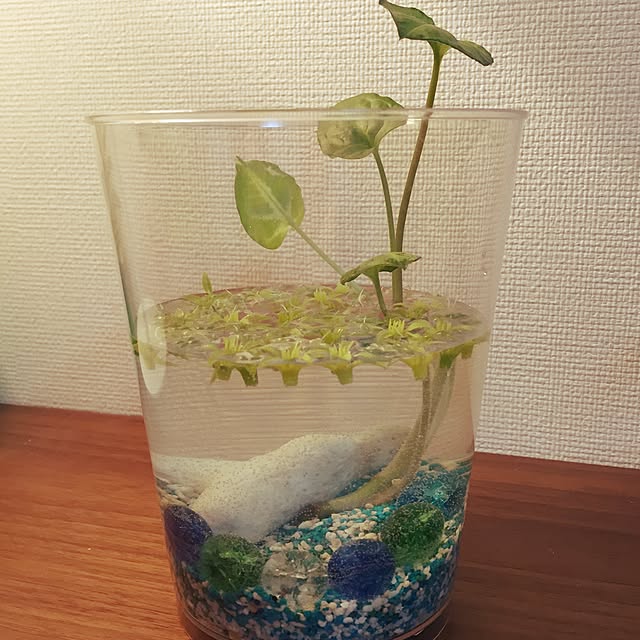 rieさんの実例写真