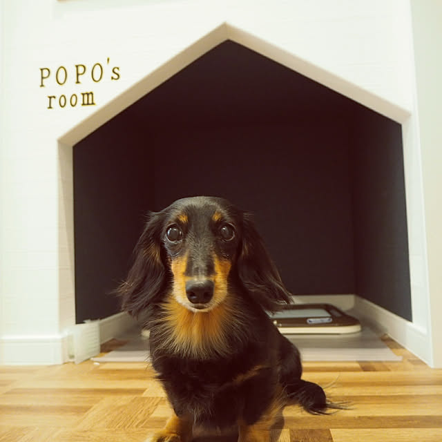 popoさんの実例写真