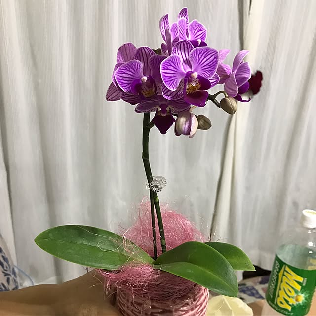 1182さんの実例写真