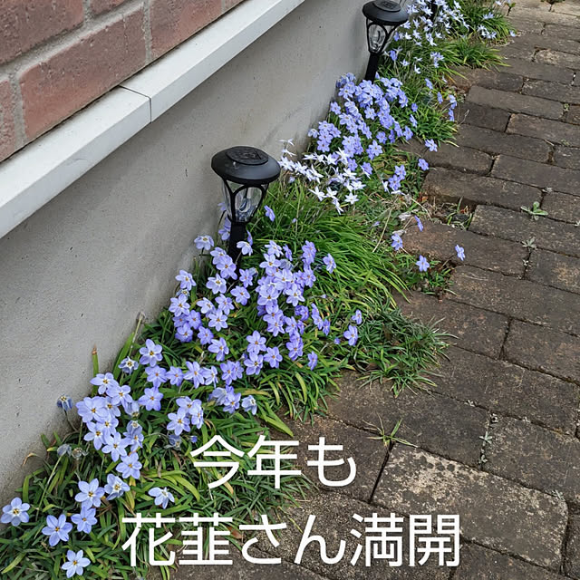 YUKOさんの実例写真