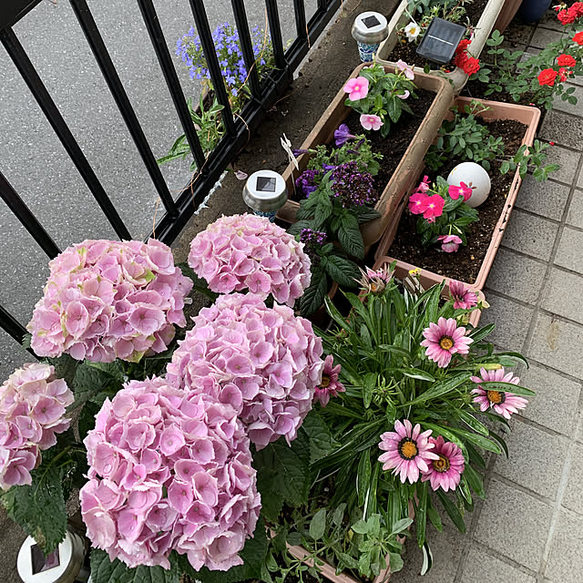 makiさんの実例写真