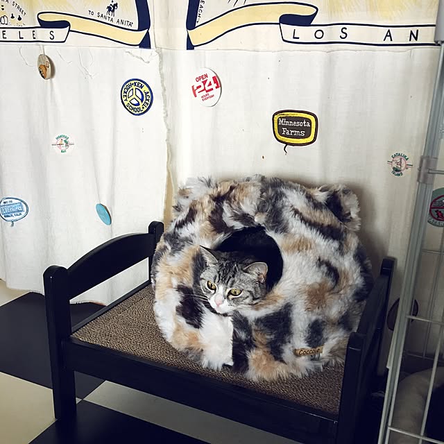 Shojiさんの実例写真