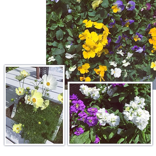 kaorinさんの実例写真