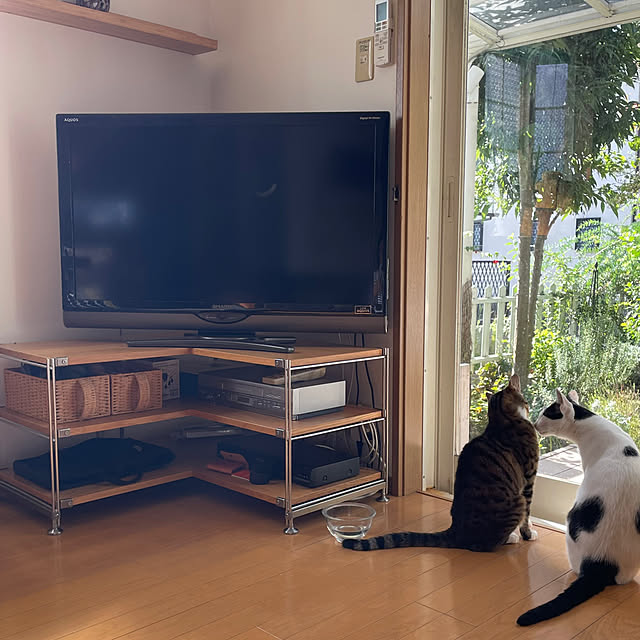 nobikoさんの部屋