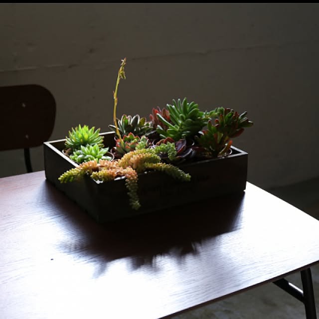 MyPlaceStoreさんの実例写真