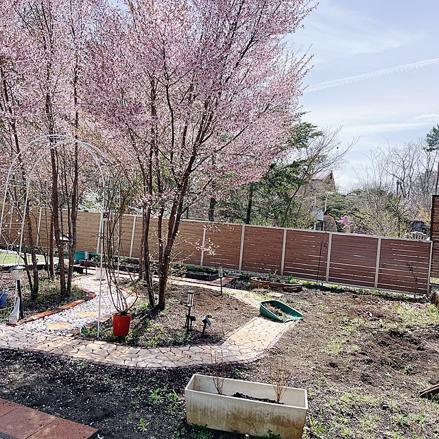 chanduさんの実例写真