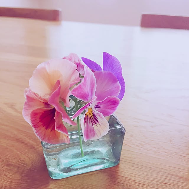 ichiさんの実例写真