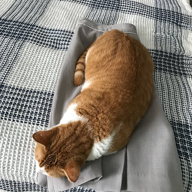 73さんの実例写真