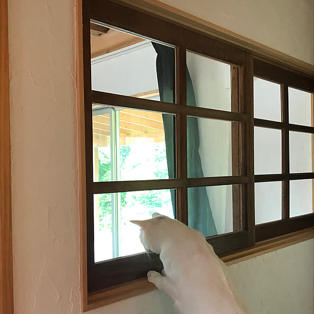 sakurasakuさんの実例写真