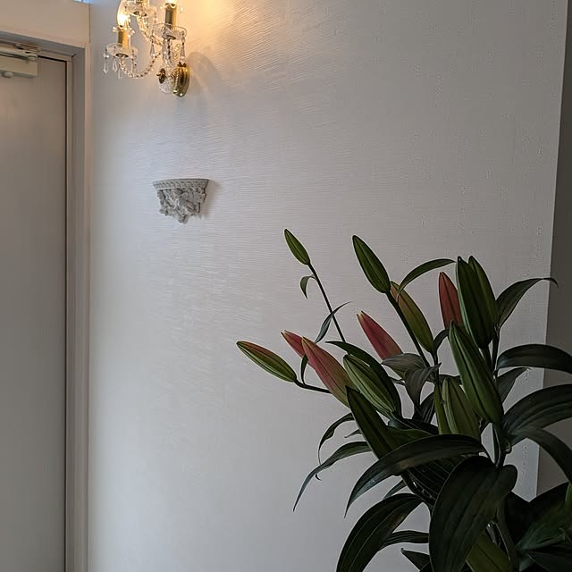 machikomamaさんの部屋