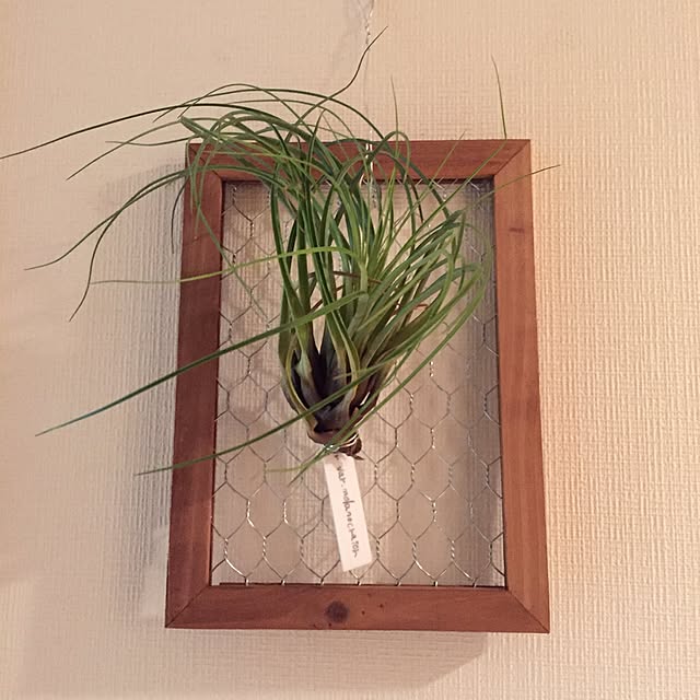 Yumiさんの実例写真