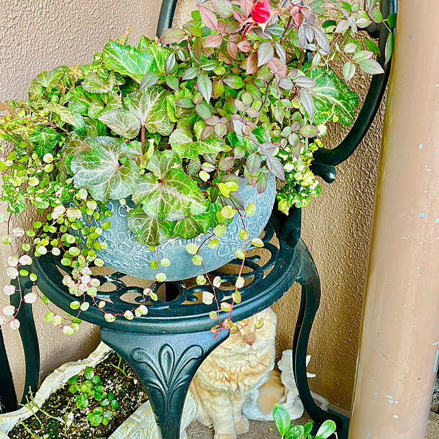 naokoさんの部屋