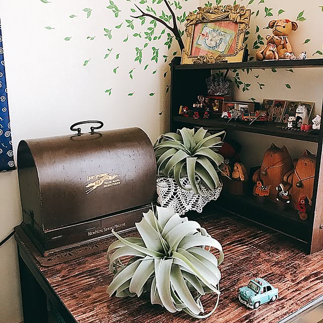 portulacaさんの実例写真