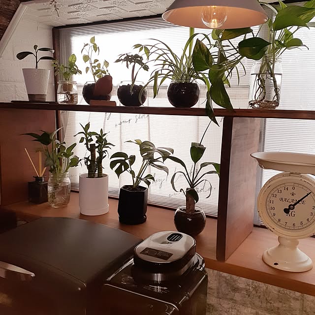naoporonさんの部屋