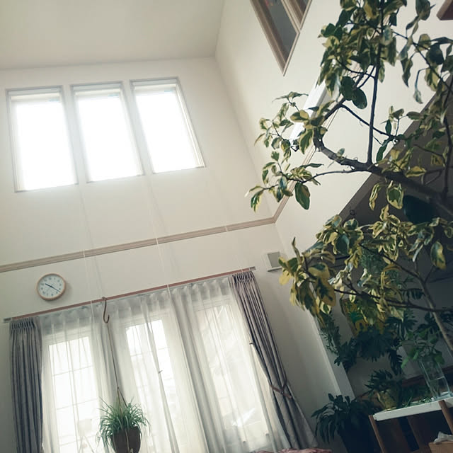 nao525さんの実例写真