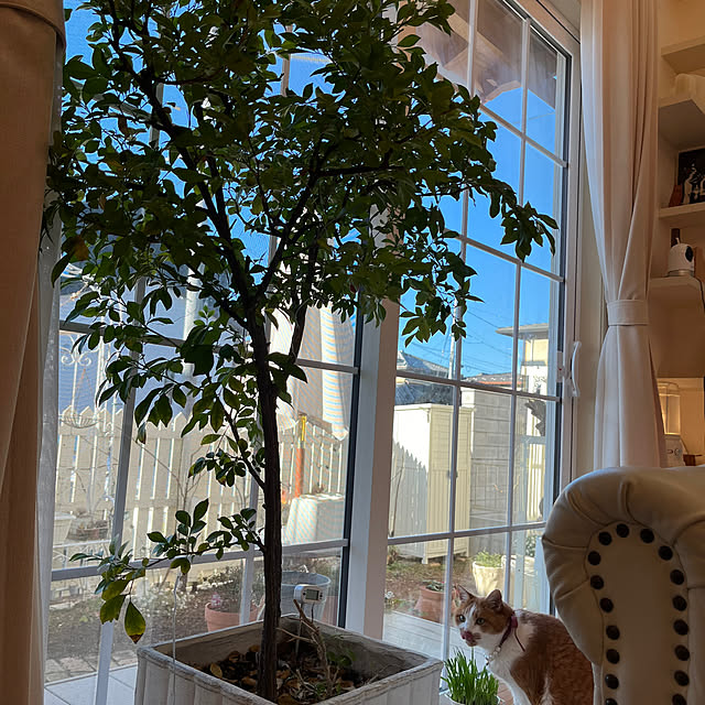 sakuraさんの部屋