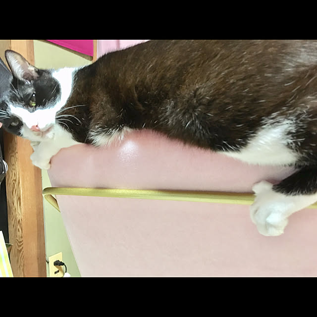 brbrnknkさんの実例写真