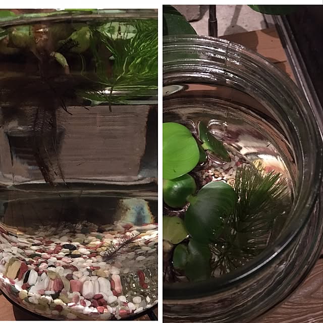 sakuranboさんの実例写真