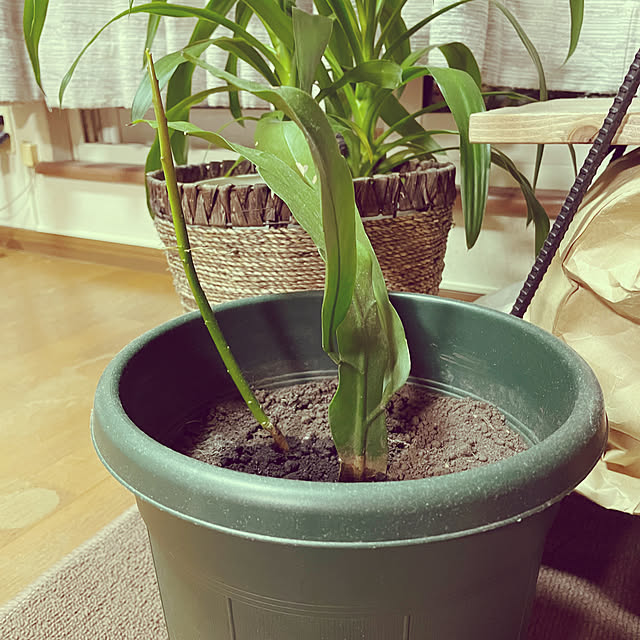 Hi-roさんの部屋